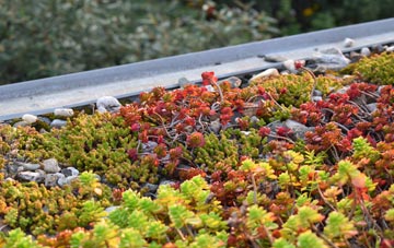 the cost of Ragmere green roof installation