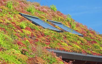 Ragmere living roof systems