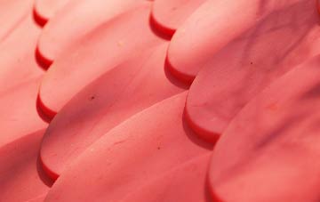 Ragmere plastic roof costs